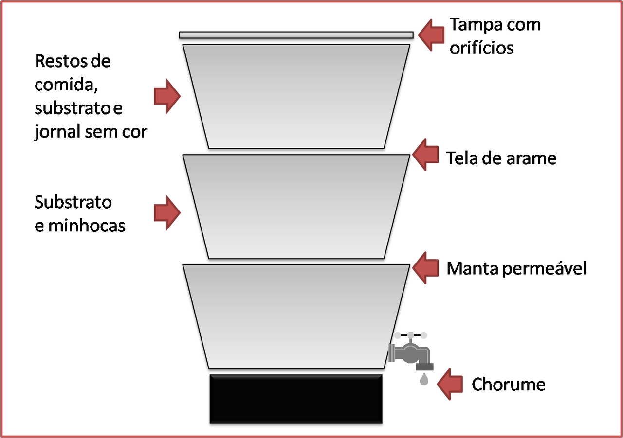 Blog Como Plantar Orquídeas