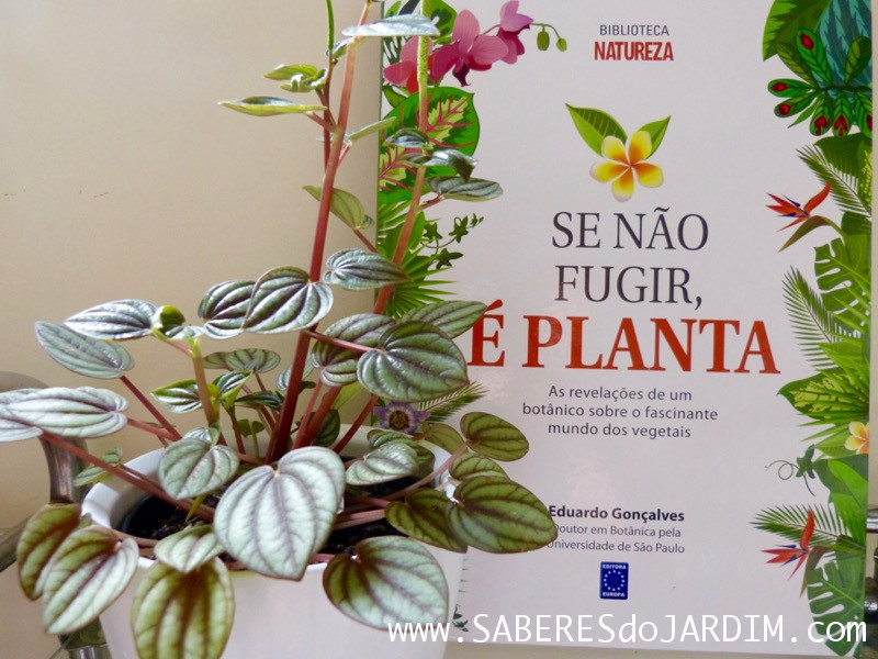 Livros sobre Plantas, Botânica e Natureza