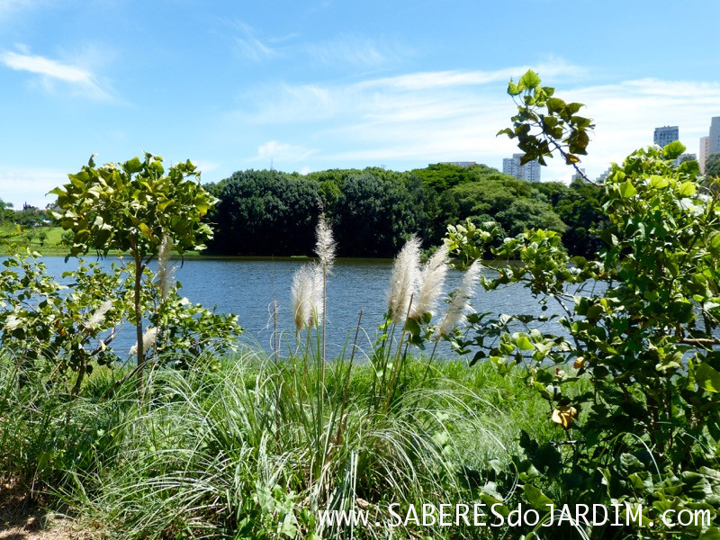 Caçadora de Plantas – Dia de Identificar Espécies e Colher Sementes